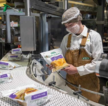 Extended Producer Responsibility and Packaging Compliance